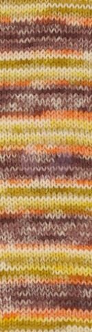 Alize Superwash Artisan 9006