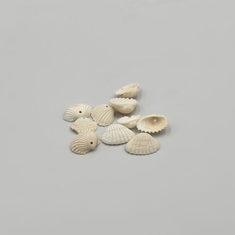 Gerçek Deniz Kabuğu Beyaz Midye Kabuğu 1,5cm 10lu