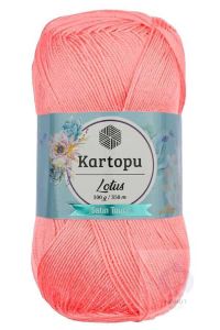 Kartopu Lotus K766
